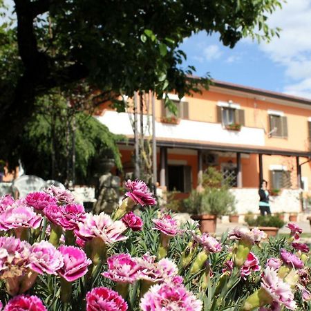 B&B Casale Shanti Piedimonte San Germano Bagian luar foto